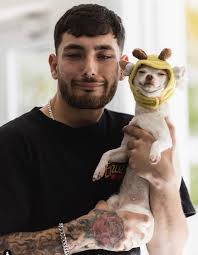 what should we name the dog based