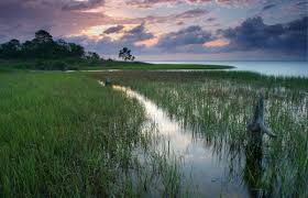 3301 gun club road west palm beach, fl 33406. Water Management Districts Florida Department Of Environmental Protection
