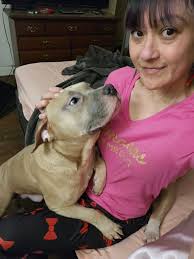 Dogs showing love and affection