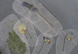 How to preserve flowers with wax. Mama Gone Green Wax Paper Pressed Flowers Pressed Flowers Paper Flowers Wax Paper
