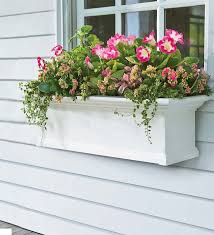 However, linderski could only find one other allusion to this practice in martial 11.18. Yorkshire Self Watering Window Box 2 L White Plowhearth