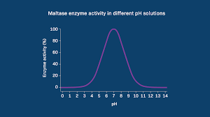Axis Titles and Scales - Visualizing Enzyme Function vs pH - LabXchange