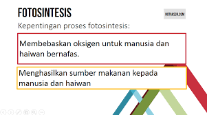 Makhluk hidup umumnya memiliki kemampuan untuk menyesuaikan diri terhadap perubahan dalam biologi adaptasi adalah proses dimana suatu makhluk hidup menjadi lebih cocok dengan xerofit , yaitu tumbuhan yang menyesuaikan diri dengan lingkungan yang kering, contohnya kaktus. Nota Proses Hidup Tumbuhan Tahun 4