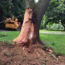 Maybe you would like to learn more about one of these? Phoenix Tree Care Home Facebook