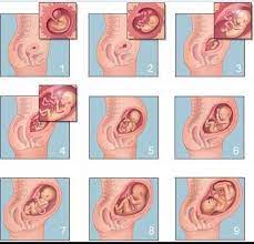 pin on child of mine 3