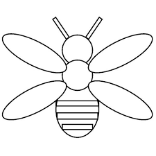 Promoting your brand with visuals on social media. How To Draw A Firefly Coloring Page Color Luna