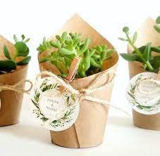 Pin By Carlos Melchor Wedding Event On Wedding Decoration Succulent Wedding Favors Succulent Favors Unique Wedding Favors