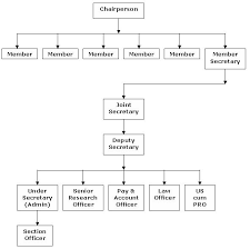 Ncw Organization Chart