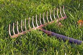 Forging a garden hand rake out of roughly 4,5 of 1 round stock. Using Rakes In Gardens Different Types Of Rakes For The Garden