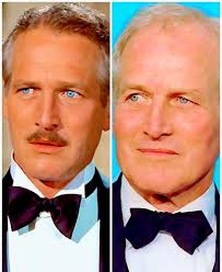 The Yellow Kid Weil's life and crimes in Chicago