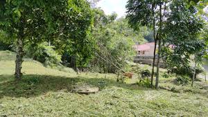 2 bidang tanah industri untuk dijual di ayer keroh, melaka. Tanah Adat Melaka Ejen Hartanah Tanah Untuk Dijual Rumah Untuk Dijual Jual Rumah Jual Tanah Ejen Tanah Di Cheras Ampang Kajang Bangi Semenyih Hulu Langat Petaling Jaya Usj Subang