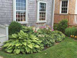 When choosing hostas for your yard or garden, it's important to learn the growing habits and requirements of that particular variety. Hosta Gardens Houzz