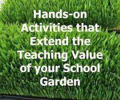 5 Great Agronomy Activities To Extend The Value Of Your School Garden School Garden Plant Science Garden Projects