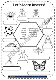 ♡ this pack contains 5 different images in pdf format for. Insects Coloring Pages For Kids Esl Worksheet By Dimko