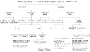 The Lemnaceae Index To Genera