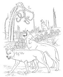 Coyote cool stuff on the looney tunes spot! Desert Animals Coloring Pages Coyote Jpg 835 1024 Animal Coloring Pages Wolf Colors Desert Animals Coloring