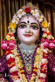 Kamal kumar jana Jana kumar kamal (janakumarkamal)