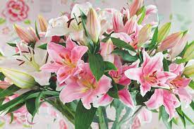 Including these colors in a bouquet conveys the following symbolic meanings: Best Flowers For Fragrance Hgtv