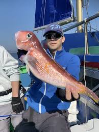 関東沖釣り情報