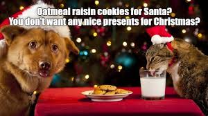 So please, let me say it again: Oatmeal Raisin Cookies For Santa Lolcats Lol Cat Memes Funny Cats Funny Cat Pictures With Words On Them Funny Pictures Lol Cat Memes Lol Cats