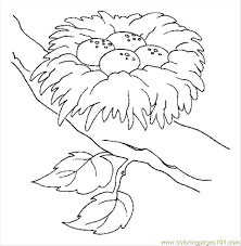 Printable Pictures Of Birds Free Printable Coloring Page Coloring Pages Bird Nest 1 Birds Bird Coloring Pages Coloring Pages Fruit Coloring Pages