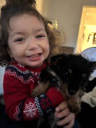 Is this your lost furrbaby?