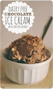 Dairy Free Chocolate Ice Cream With Toasted Coconut Living Well Spending Less Recipe Coconut Recipes Non Dairy Ice Cream Homemade Ice Cream