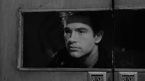 Harry Penn's Instagram, Twitter & Facebook