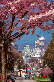 Get Inspired By The Most Jawdropping Photography Of Vancouver Canada Find More Inspirations At Vancouver Canada Photography Canada Photography Canada Travel