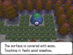 Pokemon Black And White Evolution Guide