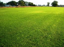 Lawn is located at the intersection of pennsylvania route 241 and lawn road. 5 Care Tips For A Greener Lawn Total Mortgage Blog