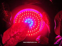 Free shipping & best price guarantee on led grow lights, nutrients, tents, full kits, and much more. 90w 7 1 1 Ufo Led Grow Lights Replace 400w Hps Mh Light