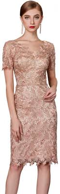 Es war mein hochzeitskleid, getragen für eine stunde.danach ging es auf hochzeitsreise. Bingqz Kleid Cocktailkleider Hochzeitskleid Schwiegermutter Schwiegermutter Junges Hochzeitsfest Edle Schwiegermutter Kleid Einfache Atmosphare Amazon De Bekleidung