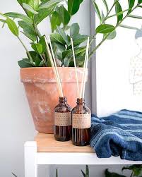 Tzsplanttip Did You Know That You Can Put A Little Essential Oils In Your Plants Humidifier To Help With Its Growth Yep Adding A Few Drops Of Geranium Fran