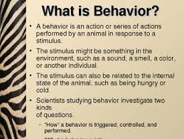 Animal Behavior Powerpoint Presentation Lesson Plan Powerpoint Lesson Plans What Is Behaviour Powerpoint Lesson