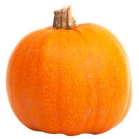 Download Pumpkin Free Png Photo Images And Clipart Freepngimg Discover 2220 free pumpkin png images with transparent backgrounds. download pumpkin free png photo images