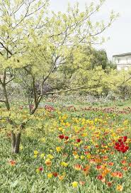 Schau Und Sichtungsgarten Hermannshof In Weinheim Herbstblumen Sommerblumen Und Garten