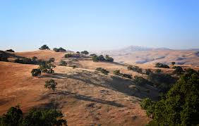 File:Friday May 10, 130 365 (8761584621).jpg