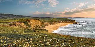 Flying fish bar & grill. Half Moon Bay Visit California