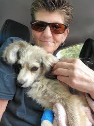 Rhonda Pappas's Instagram, Twitter & Facebook