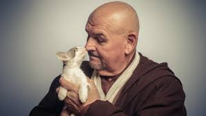 May the fur be with you, FACE cats up for adoption