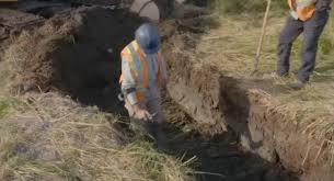 Avid followers of the Lagina brothers' show, the Curse of Oak Island, have  discovered a 1960s Reader's Digest article about the island's treasure. The  article tells the story of men who allegedly