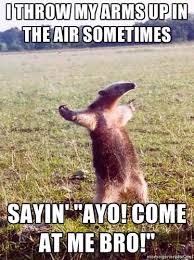 This font is labeled as. Image 123056 I Throw My Hands Up In The Air Sometimes Saying Ayo Know Your Meme