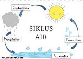 Check spelling or type a new query. 16 Ide Poster Dan Iklan Poster Siklus Air Pelestarian Lingkungan Hidup