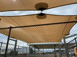 Sail shades are really trendy due to their usage in shows like desert flippers and if your sail shade gets mold, we recommend taking it down and cleaning as described in the previous section. Have You Got Mouldy Green Shade Fnq Pressure Cleaning Facebook
