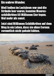 Weitere ideen zu lustige bilder, lustig, witze. Ein Wahres Wunder Weil Indien Im Lockdown War Und Die Lustige Bilder Spruche Witze Echt Lustig