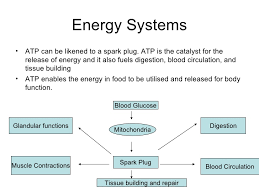 Core 2 Factors Affecting Performance Energy Ssytems