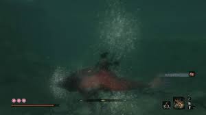 Sekiro 84 Mibu Village 5 Diving Precious Bait Treasure Carp Red Carp Eyes Prayer Bead Youtube Go straight, and jump into the lake to the left. sekiro 84 mibu village 5 diving precious bait treasure carp red carp eyes prayer bead