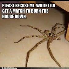 All your memes, gifs & funny pics in one place. Brb Funny Pictures Funny Quotes Just For Laughs