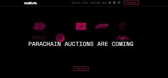 Let's gather intel on kusama to decide whether or not to pull the trigger on the ksm coin/token. Wjeq37fkhd2em